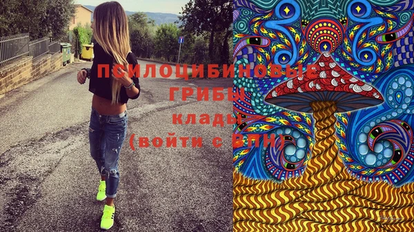 бошки Лихославль