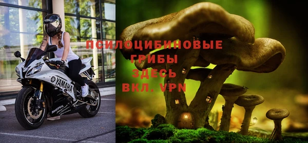 бошки Лихославль