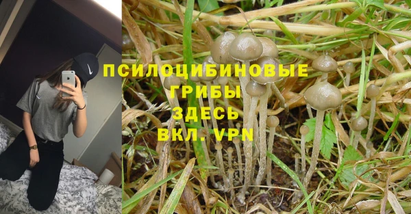 бошки Лихославль