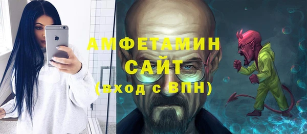 индика Сосновый Бор