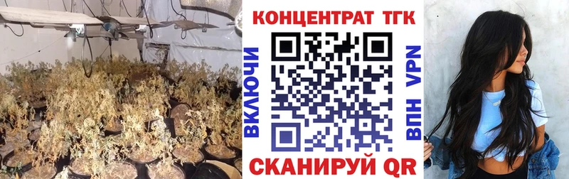 Дистиллят ТГК концентрат  наркошоп  Болохово 